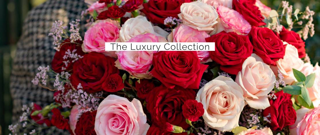 luxury-collection